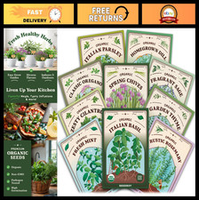Organic Non-GMO 10 Herb Variety Pack for Indoor/Outdoor Planting - Basil, Mint, picture
