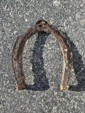 Antique Civil War Horseshoe, Antique Hand-Forged Horseshoe, cool wall decor picture