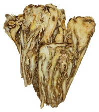 Dang Gui | Whole Dang Gui Roots Slices | Excellent Medicinal Grade | Fresh 当归 picture