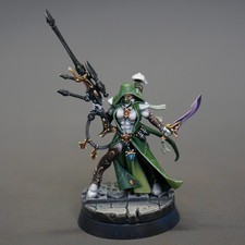 Warhammer 40K Aeldari  Amallyn Shadowguide PRO-PAINTED Custom Miniature model picture