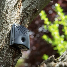 Dog Silencer Max picture