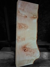 XL CURLY BIRDSEYE MAPLE BURL Wood Blank, Turning Wood, Curly Maple CRAFT wood picture