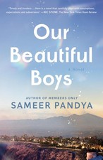 Our Beautiful Boys: A Novel picture