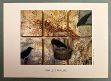 Phyllis Taplitz 2002 Art Exhibition Postcard Susan Cummins Gallery Framed Ravens picture
