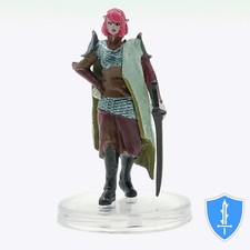 Astral Elf Aristocrat - Spelljammer Adventures in Space #25 D&D Icons of Realms picture