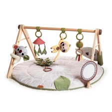 Tiny Love Boho Chic Luxe Developmental Gymini picture