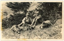 c1910s Byron Harmon Banff Three Grizzlies Hunting Postcard CPR Rockies RPPC picture