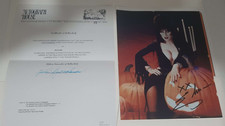 Cassandra Peterson Elvira Mistress Of The Dark Fan Club Folder & Photo & COA picture