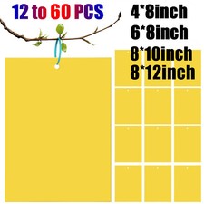 60 PCS Sticky Fly Traps- Gnat&Insect Catcher with Hanging Ropes|Strong Glue Trap picture