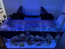 Custom Solid Polycarbonate Clear Aquarium Lid (MADE TO ORDER) picture
