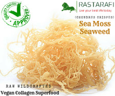Rastarafi Whole Leaf Irish Moss Sea Moss 1 lb | Raw WildCrafted Superfood-16 Oz picture