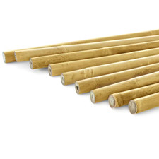 8 Ft. X 3/4 In. Natural Bamboo Garden Plant Stakes for Climbing Support (10-Pack picture