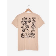 NWT BoxLunch picture