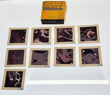 Rare 1965 Lot Of 9 Original Color Jazz Slides BENNY GOLSON Quintet SLUGS NYC picture