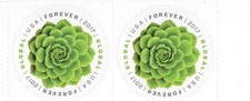 2 Global Green Succulent Forever Stamps 1 ounce global or $1.70 domestic postage picture