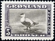 [OOS] Greenland #Mi016 MH 1945 Eider Duck Somateria mollissima New York [18] picture