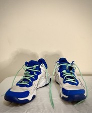 Nike Zoom picture