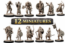 Fantasy Viking Warrior Miniatures Bundle 12 Resin RPG Tabletop Figures picture