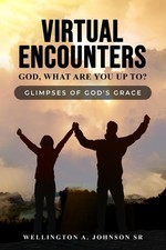 Virtual Encounters - God, what are You Up To?: Glimpses of God's Grace picture