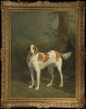 Hand Painted Oil Painting Old Master-Art Antique style Animal hound On Canvas picture