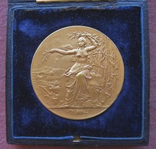Hors Concours, Nancy 1929 French Bronze Award Medal, by A. Massoulle picture