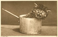 Cat Kitten in a saucepan Adorable Postcard Antique c1915 'A Good Joke' RPPC N picture