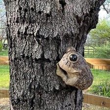 Peeping Quiet Frog Tree Peeker Resin Trees Decor GardenYard Sculptures Hugger picture
