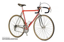 PINARELLO MONTELLO COLUMBUS SL SIZE 55 CAMPAGNOLO NUOVO RECORD (#211) picture