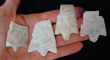 4 Heartbreaker CORAL HILLSBOROUGH Deep South Arrowhead  ~90~ picture