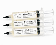 Mushroom Liquid Culture | 10ml 3 Pack | Lions Mane | Blue Oyster | Shiitake picture