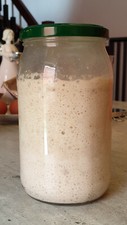 San Francisco SOURDOUGH STARTER WELL OVER 220 YRS OLD VERY STRONG VERY SOUR picture