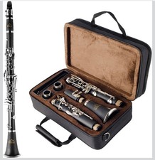 EASTROCK Bb Clarinet 17 Keys ABS Material Wide Range of Tones Beginners Students picture