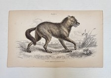 Antique Jardine/Lizars hand colored engraving print
