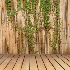 6 ft. H x 16 ft. L Natural Jumbo Reed Bamboo Fencing picture