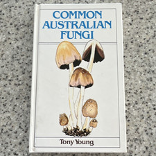 Tony Young Common Australian Fungi Hardcover Illustrated 1982 Very Good Mycology picture