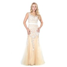 Champagne Elegant Mermaid  Lace  Long Prom / Wedding Dress picture