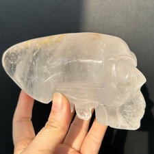1.98LB Top Natural Clear Quartz Crystal Skull Carved Skull Crystal Healing Decor picture