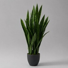 3’ Artificial Sansevieria Snake Plant 35 Leaves Home Office Indoor Decor picture