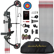 Right Hand Compound Bow Kit for Youth Beginners 19-28in Draw 15-29lb 260 FPS picture