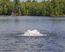 Kasco 4400AF050 1 HP Aerator w/ 50' Cord for Ponds/Lakes-surface bubbler picture