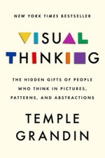Visual Thinking: The Hidden Gifts of People Who Think in Pictures, Patter - GOOD picture