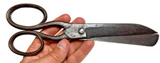 Antique Hall & Colley Sheffield Tailor's Shears Scissors 1840-1865 Crossed Pipes picture