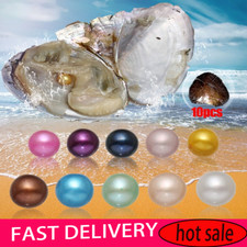 10x Bulk Natural Freshwater Akoya Pearl Oysters Real Pearls Bulk w/ Large Pearl picture