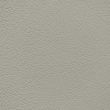 Ford/Lincoln/Mercury Medium Light Stone Leather Dye picture