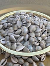 Cypraea Mask Natural Skin Care Organic Herb Incense 50G الودعة picture