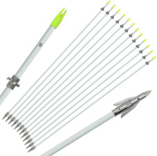 6 PCS/12PCS 36 Inch Bowfishing Arrows 8Mm Fishing Arrow Fiberglass Arrow with Br picture