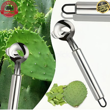 2Pcs Stainless Steel Prickly Pear Peeler Cactus Thorn Remover Fruit Slicer Tool picture