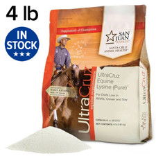 UltraCruz Equine Lysine (Pure) Supplement for Horses, 4 lb, Powder (360 Days) picture