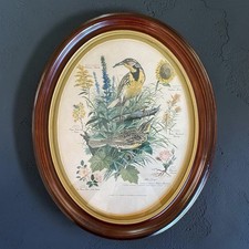 VTG Arthur Singer Oval Wood Framed Meadowlark Lithograph Bird & Wildflower Art picture