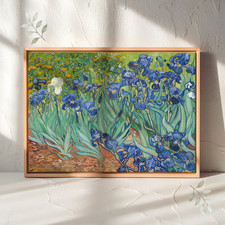 Irises – Vincent van Gogh, Framed Wrap Giclee Canvas Print picture